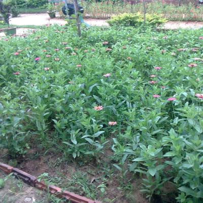 Whatsapp Image 2024 08 23 At 2.41.43 Pm