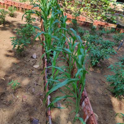 Whatsapp Image 2024 08 23 At 2.46.21 Pm